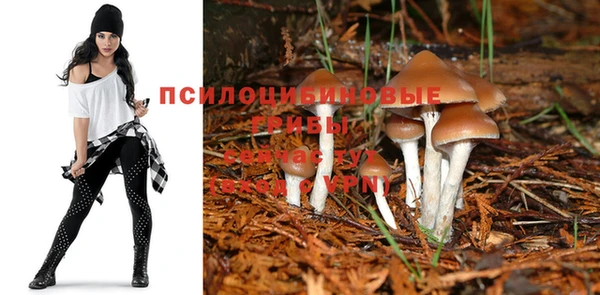 меф Баксан