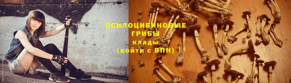 спиды Балахна