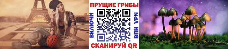 Галлюциногенные грибы Cubensis  гидра как зайти  Белёв  купить  
